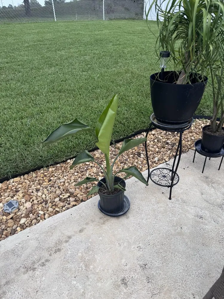 Expert lawn care service for beautiful yards across Deltona, FL - Quality Sod & Excavation