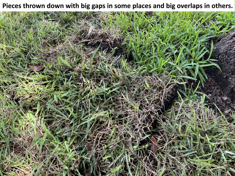 Expert outdoor landscaping experts serving Spring Hill, FL - Quality Sod & Landscape Solutions