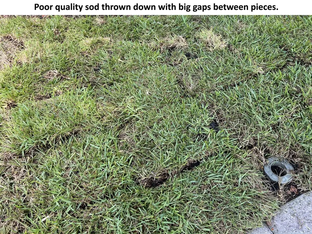 Expert outdoor landscaping near you across Spring Hill, FL - Quality Sod & Landscape Solutions