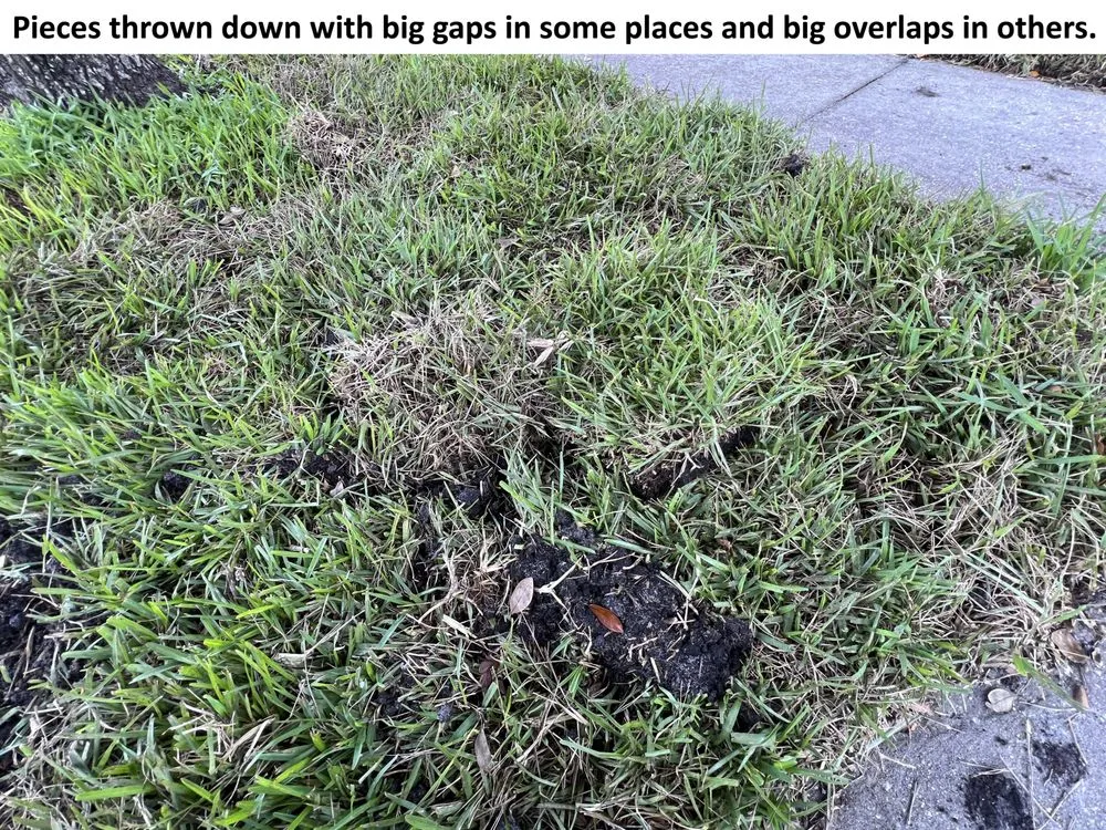 Local landscape installation in Spring Hill, FL - Quality Sod & Landscape Solutions