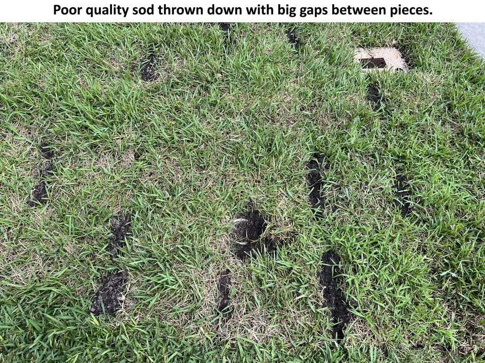 Affordable landscape installation for homes across Spring Hill, FL - Quality Sod & Landscape Solutions