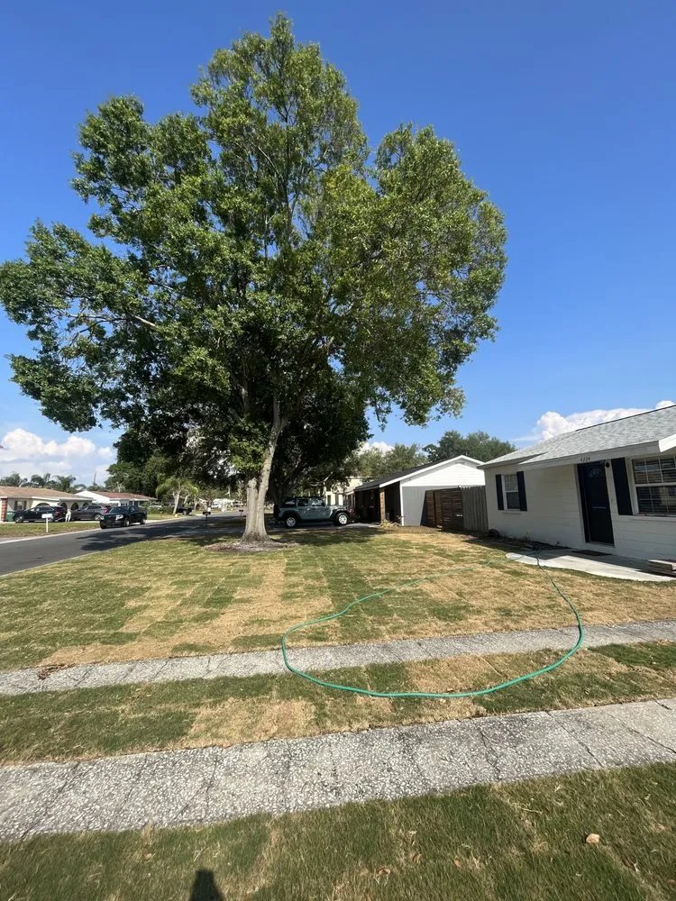 Custom landscaping services near you in Spring Hill, FL by Quality Sod & Landscape Solutions