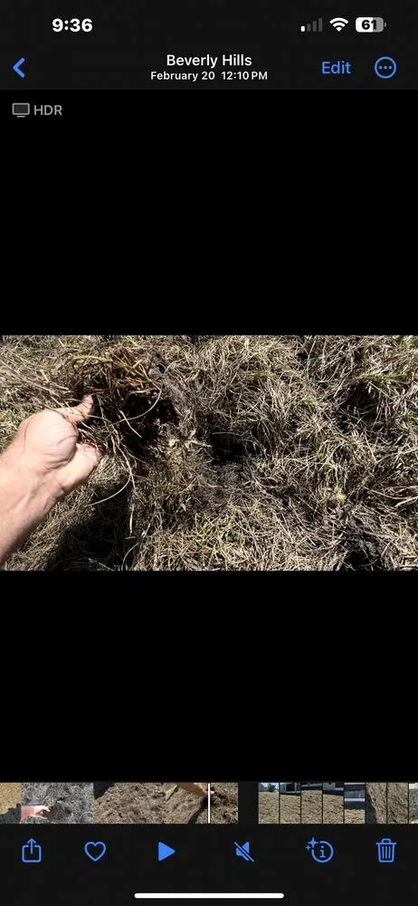 Local landscape design for residential properties in Spring Hill, FL by Quality Sod & Landscape Solutions