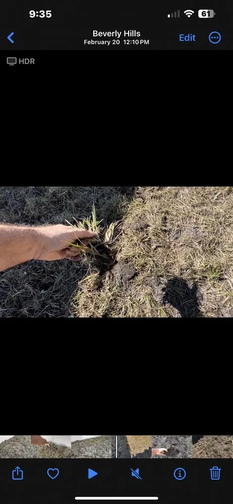 Top-rated lawn mowing service for beautiful yards in Spring Hill, FL by Quality Sod & Landscape Solutions