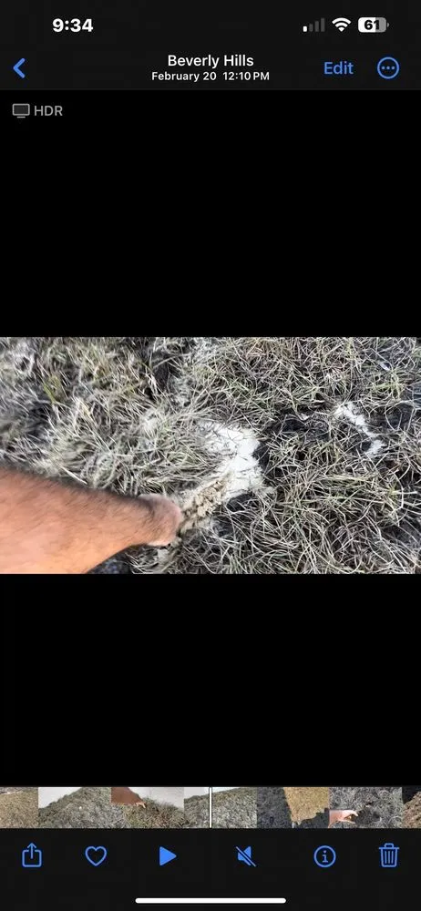 Top-rated landscape design in Spring Hill, FL by Quality Sod & Landscape Solutions