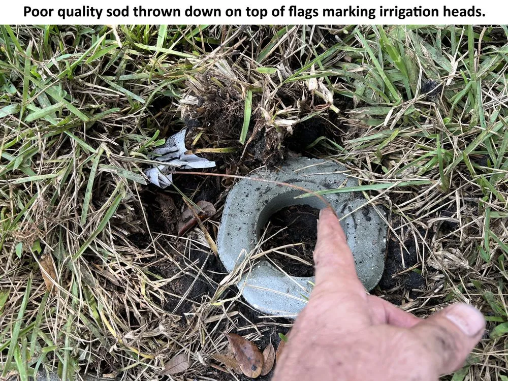 Affordable landscaping services in Spring Hill, FL - Quality Sod & Landscape Solutions