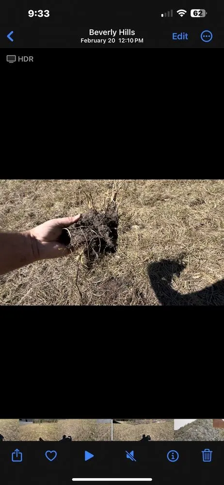 Expert outdoor landscaping experts serving Spring Hill, FL - Quality Sod & Landscape Solutions