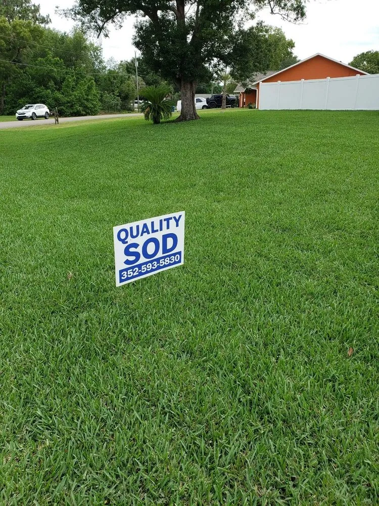 Reliable landscape design in Spring Hill, FL - Quality Sod & Landscape Solutions