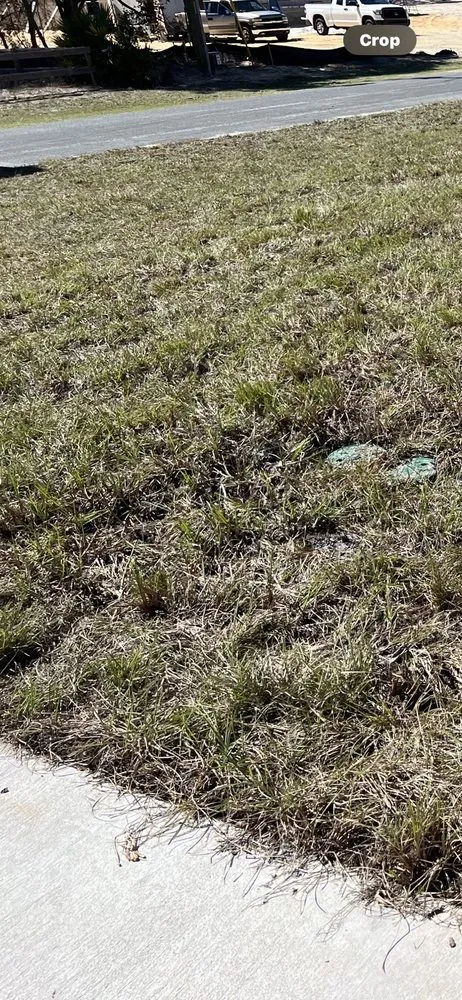 Trusted landscape design experts serving Spring Hill, FL - Quality Sod & Landscape Solutions