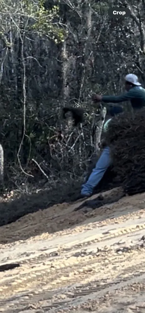 Expert landscape design for residential properties across Spring Hill, FL - Quality Sod & Landscape Solutions