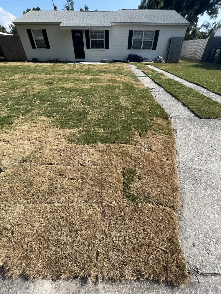 Local lawn mowing service in Spring Hill, FL by Quality Sod & Landscape Solutions