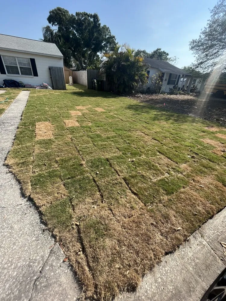 Top-rated residential landscaping in Spring Hill, FL - Quality Sod & Landscape Solutions