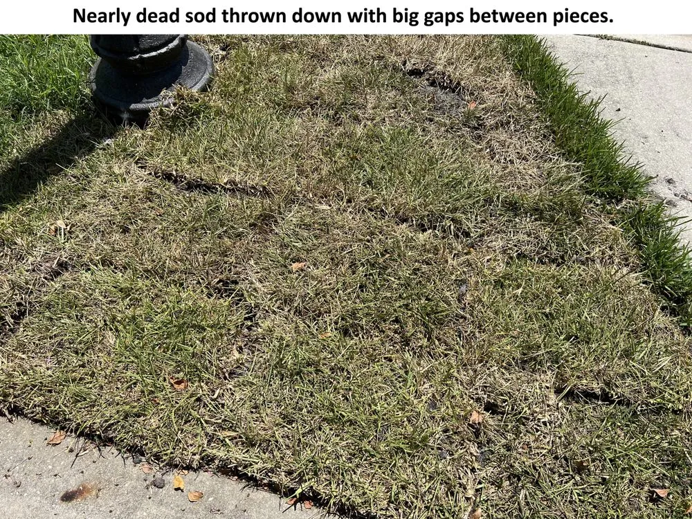 Expert lawn care service experts serving Spring Hill, FL - Quality Sod & Landscape Solutions