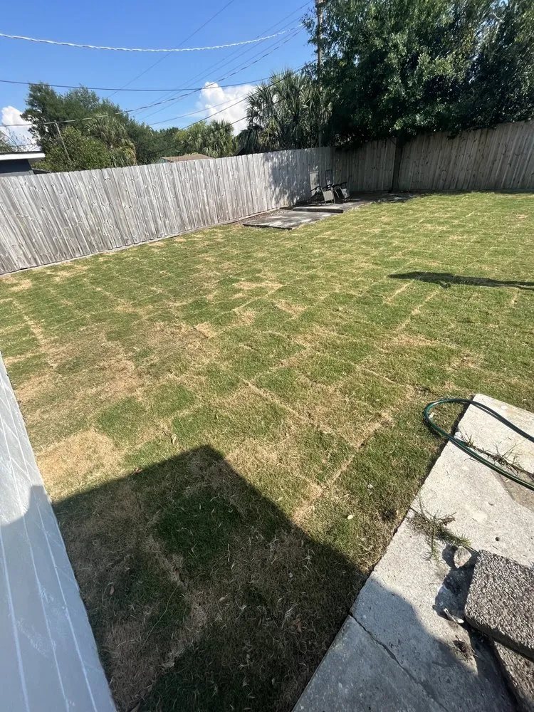 Professional landscaping services for year-round maintenance across Spring Hill, FL - Quality Sod & Landscape Solutions