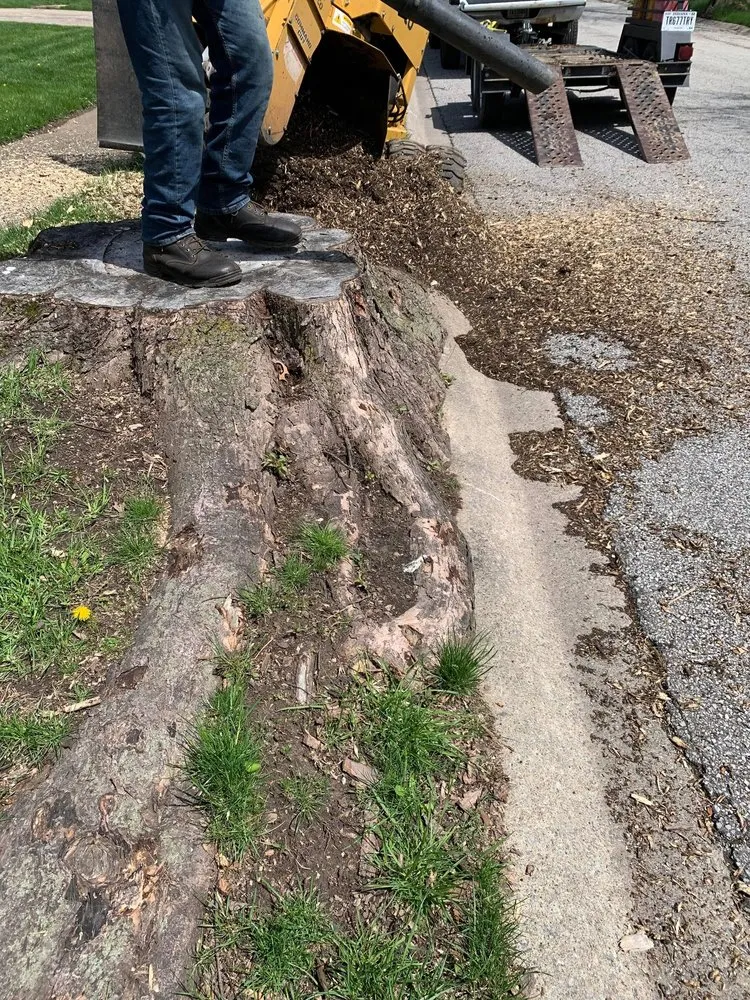 Trusted outdoor landscaping in Portage, IN - Quality Stump Grinding & Landscape Services