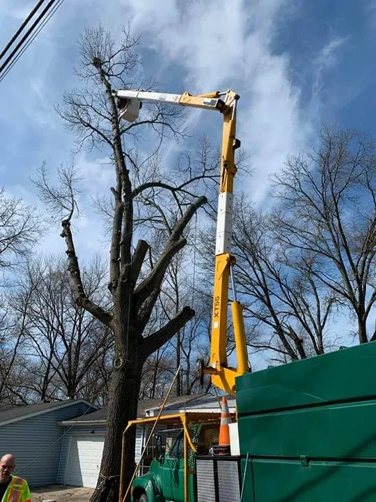 Reliable residential landscaping in Portage, IN by Quality Stump Grinding & Landscape Services