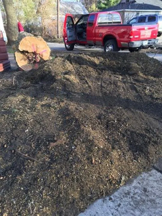 Affordable lawn mowing service in Portage, IN - Quality Stump Grinding & Landscape Services