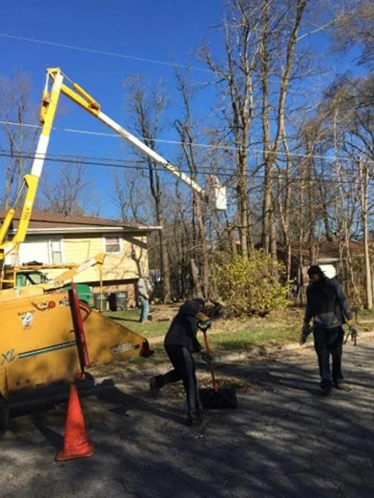 Local lawn mowing service experts serving Portage, IN - Quality Stump Grinding & Landscape Services