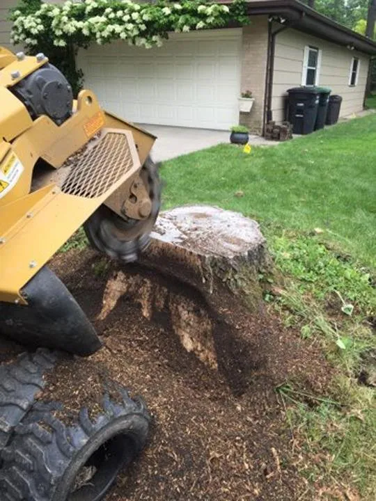 Custom lawn mowing service near you in Portage, IN by Quality Stump Grinding & Landscape Services