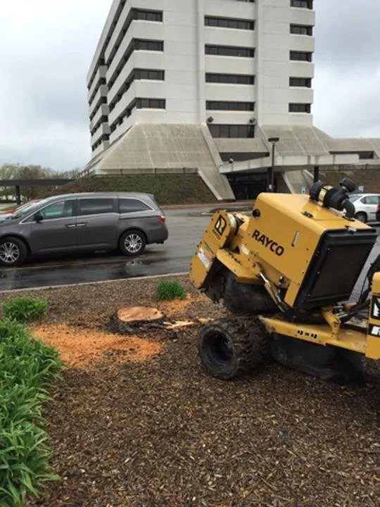 Trusted residential landscaping in Portage, IN - Quality Stump Grinding & Landscape Services