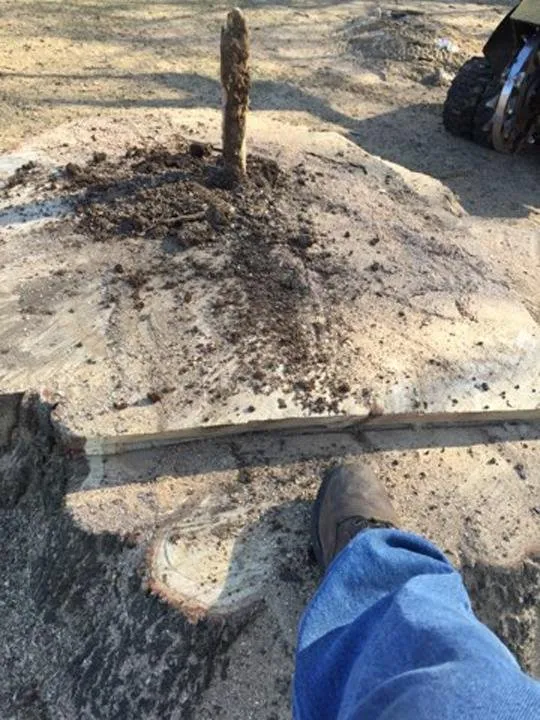 Local residential landscaping experts serving Portage, IN - Quality Stump Grinding & Landscape Services