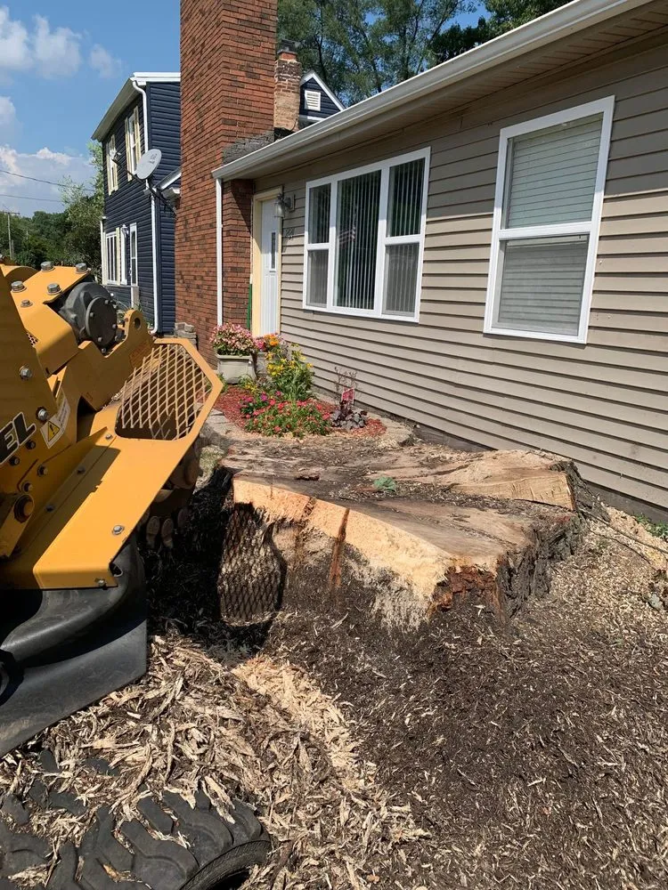 Expert lawn care service near you across Portage, IN - Quality Stump Grinding & Landscape Services