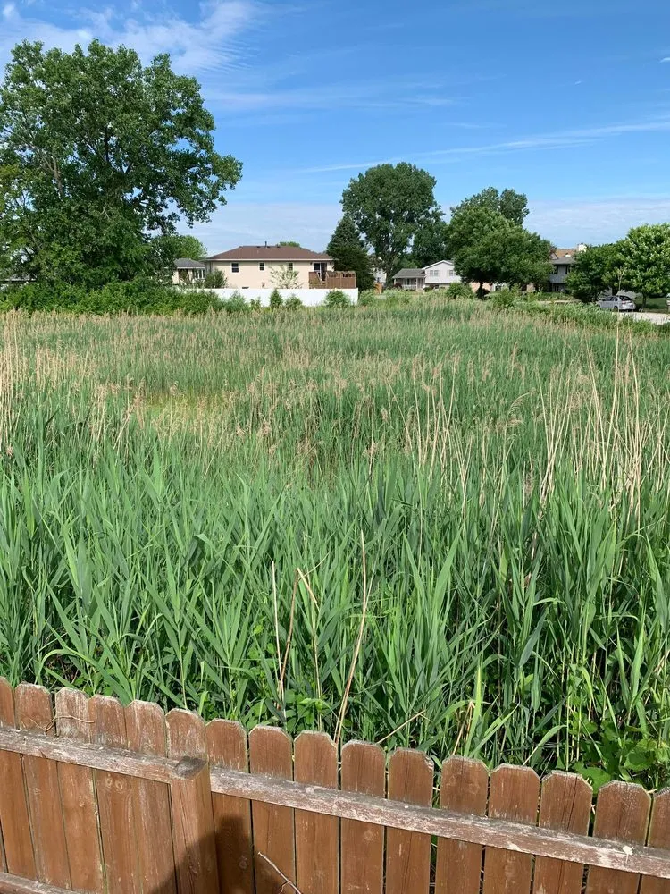 Affordable residential landscaping experts serving Portage, IN - Quality Stump Grinding & Landscape Services