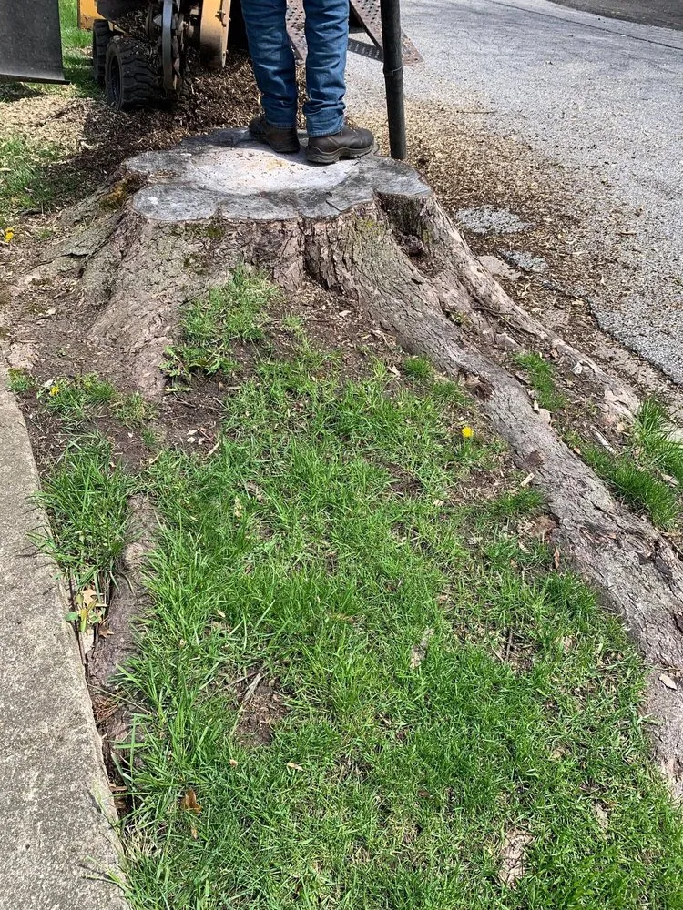 Top-rated landscape design for year-round maintenance in Portage, IN by Quality Stump Grinding & Landscape Services