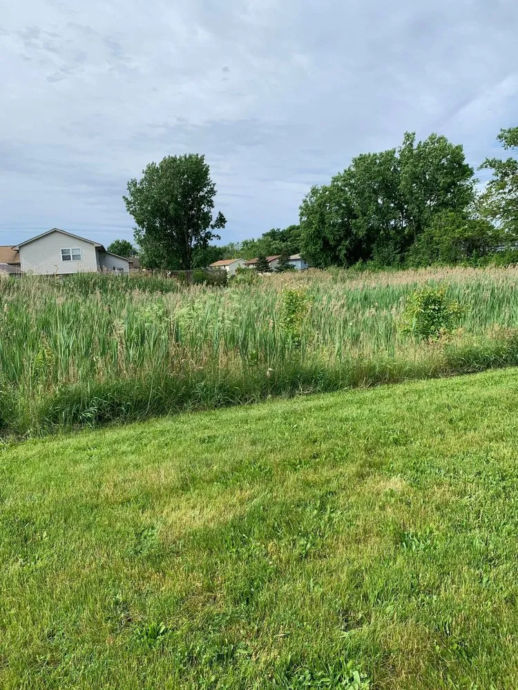 Professional landscaping services in Portage, IN by Quality Stump Grinding & Landscape Services