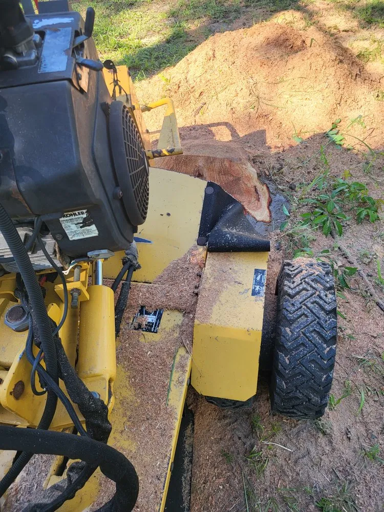 Custom outdoor landscaping experts serving Brooksville, FL - Quality Stump Removal And Land Services