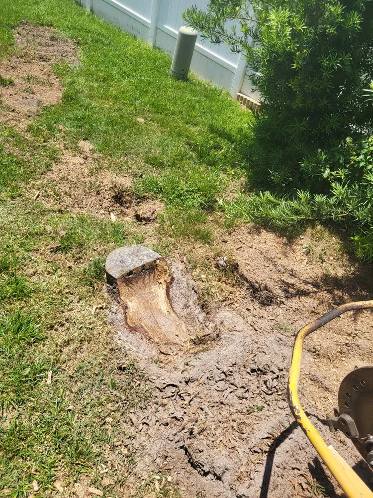 Professional landscaping services in Brooksville, FL by Quality Stump Removal And Land Services