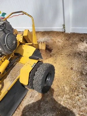 Quality Stump Removal And Land Services Logo