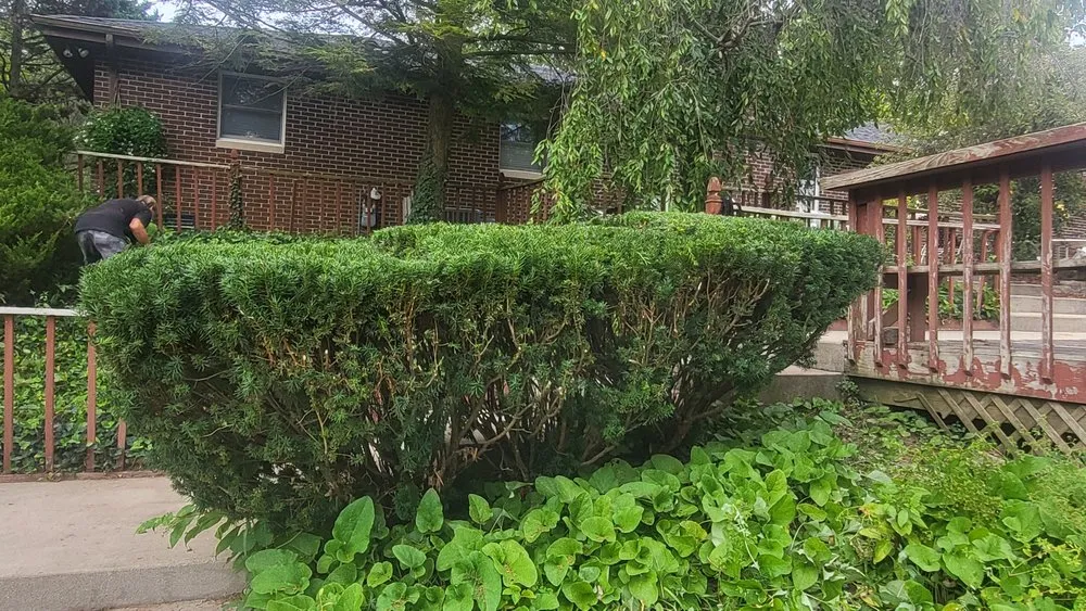 Reliable garden landscaping with custom design in Kokomo, IN by Quality Touch Landscaping