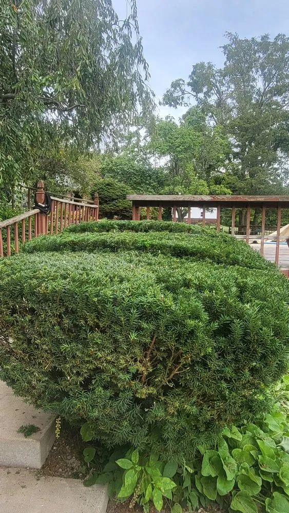 Affordable outdoor landscaping for year-round maintenance in Kokomo, IN by Quality Touch Landscaping