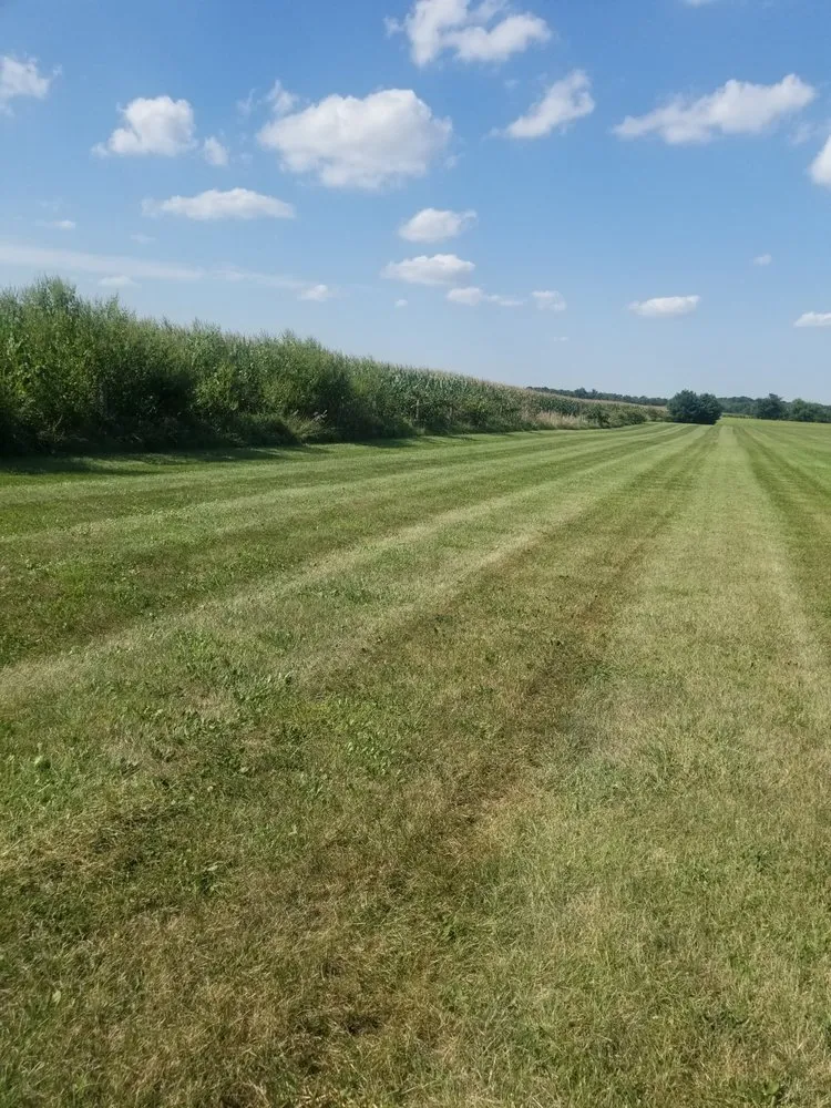 Top-rated yard cleanup service in Kokomo, IN by Quality Touch Landscaping