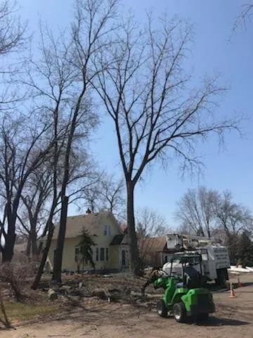 Affordable yard maintenance in Lake Elmo, MN - Quality Tree & Landscaping