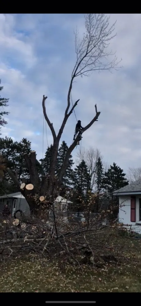 Expert residential landscaping in Lake Elmo, MN by Quality Tree & Landscaping