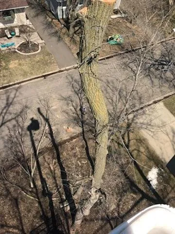 Custom lawn mowing service in Lake Elmo, MN by Quality Tree & Landscaping