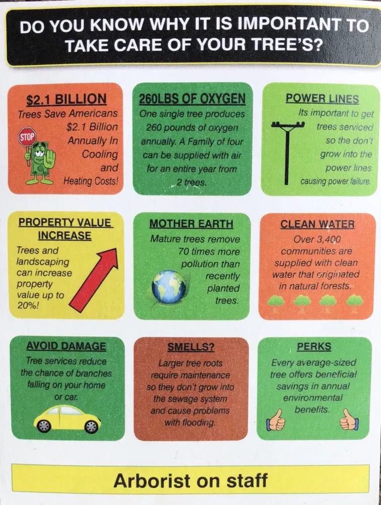 Professional landscaping services in Lake Elmo, MN by Quality Tree & Landscaping