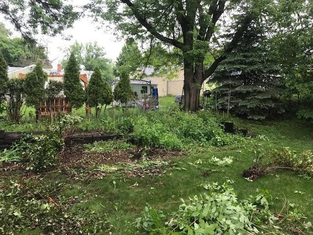 Trusted lawn mowing service in Lake Elmo, MN by Quality Tree & Landscaping