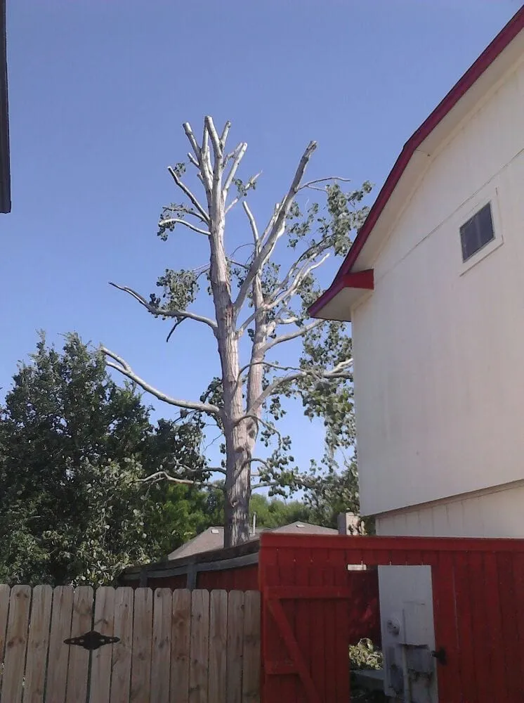 Trusted garden landscaping experts serving Leander, TX - Quality Tree and Lawn