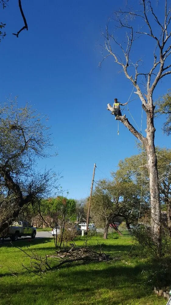 Affordable outdoor landscaping near you across Leander, TX - Quality Tree and Lawn