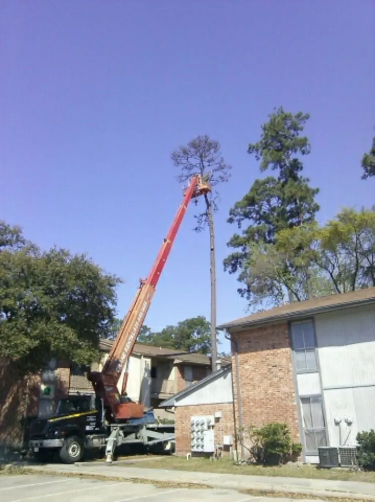 Expert yard maintenance in Leander, TX - Quality Tree and Lawn