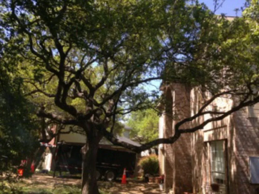 Affordable yard maintenance for homes across Leander, TX - Quality Tree and Lawn