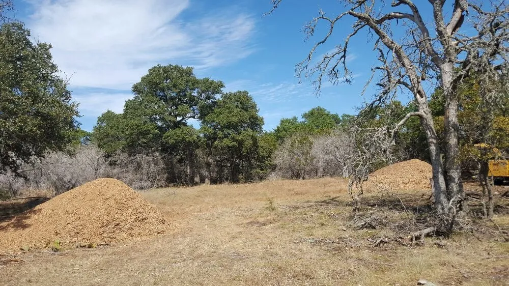 Professional landscaping services in Leander, TX by Quality Tree and Lawn