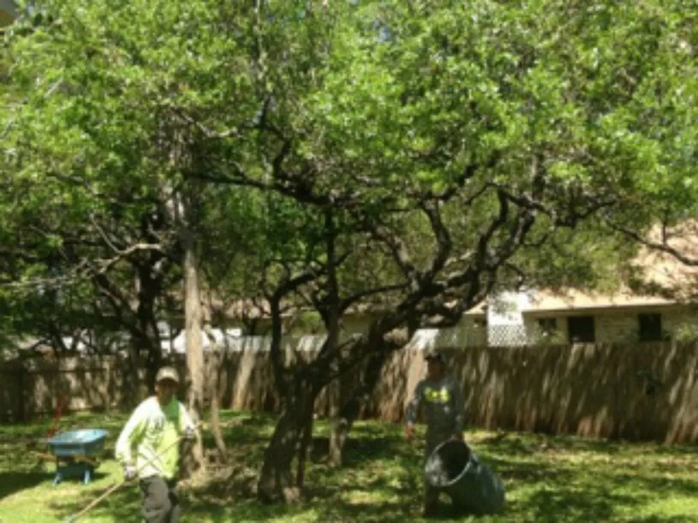 Top-rated landscape installation in Leander, TX by Quality Tree and Lawn