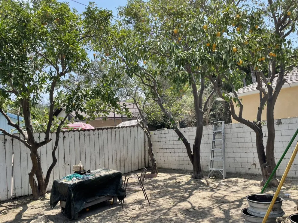 Professional landscape design for outdoor upgrades across Whittier, CA - Quality Tree Care