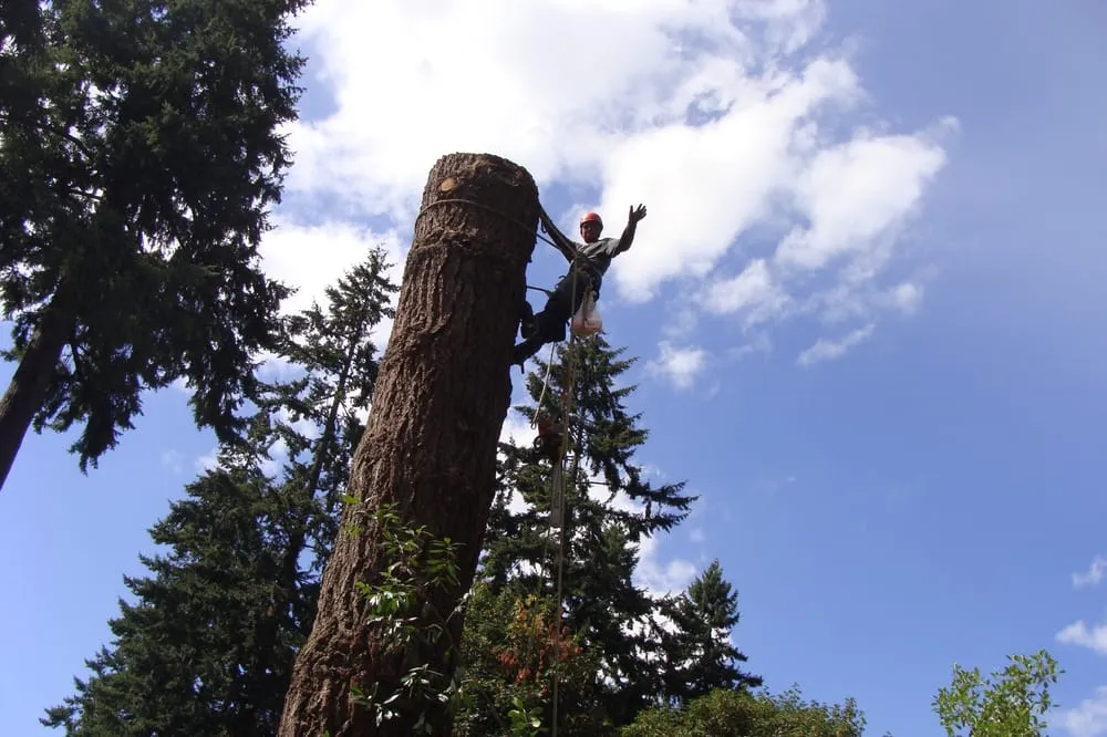 Custom garden landscaping for year-round maintenance in Oregon City, OR by Quality Tree Service & Landscape Maintenance