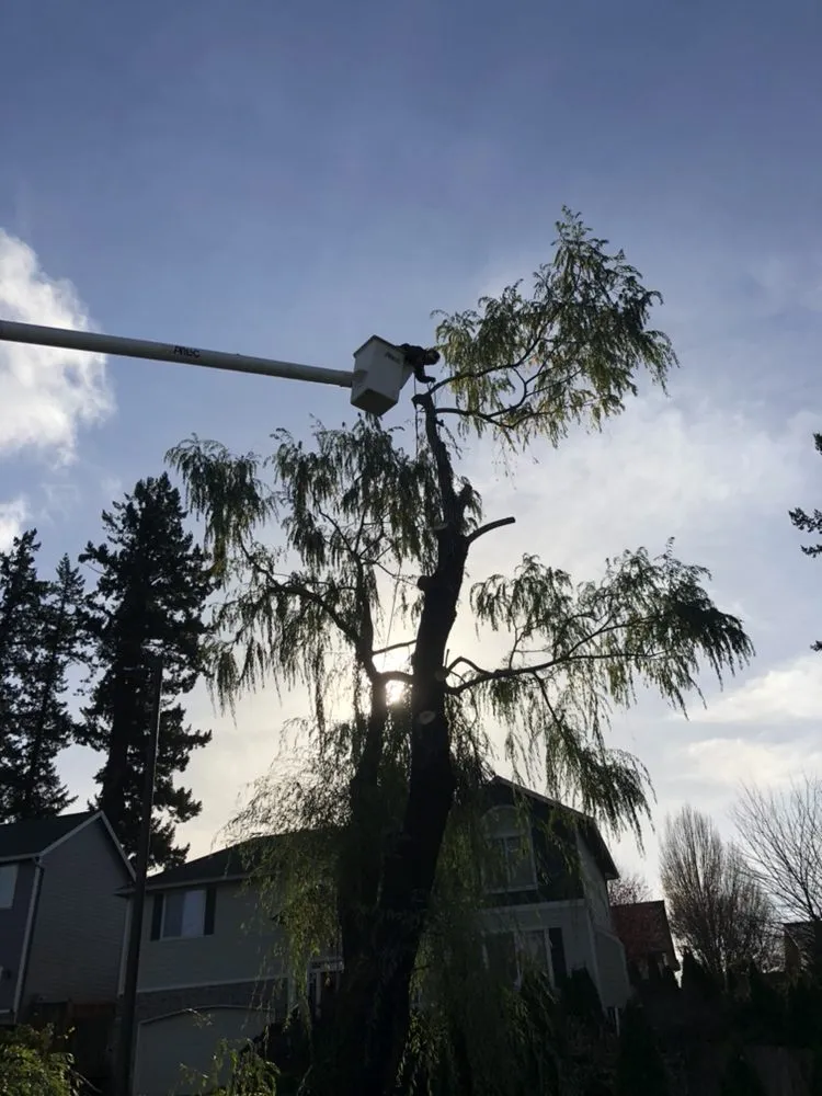 Professional residential landscaping for residential properties in Oregon City, OR by Quality Tree Service & Landscape Maintenance