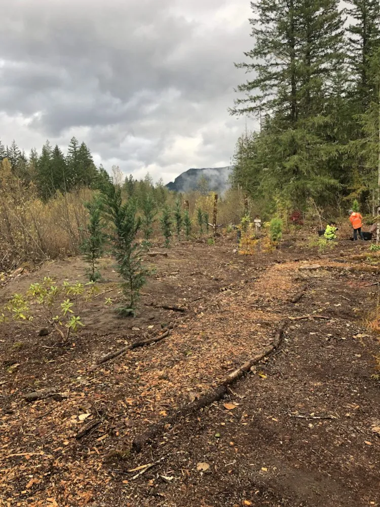 Reliable lawn mowing service for year-round maintenance in Oregon City, OR by Quality Tree Service & Landscape Maintenance